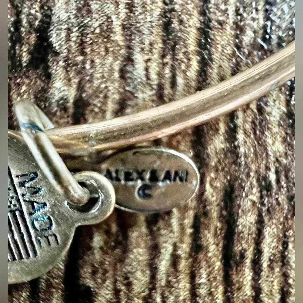 RETIRED: Alex and Ani | Class of 2013 charm bracelet - Picture 14 of 14
